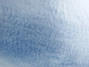 20120708 (11)