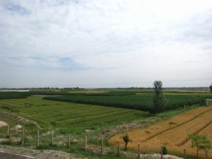 20120708 (19)