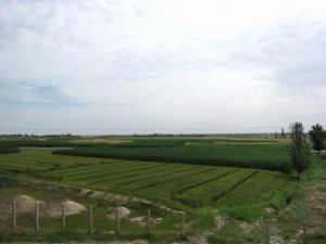 20120708 (20)
