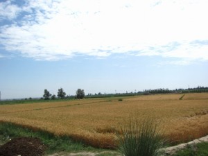 20120708 (26)