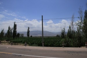 20120708 (35)