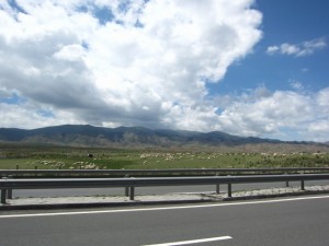 20120709 (21)