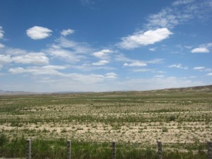 20120709 (27)