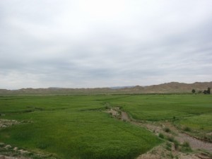 20120709 (8)