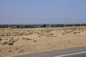 20120710 (19)
