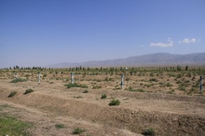 20120710 (20)
