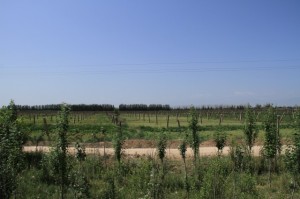 20120710 (23)