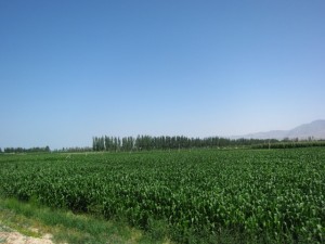 20120710 (25)