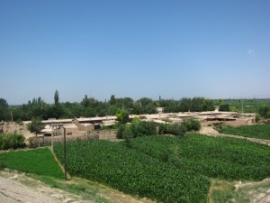20120710 (28)