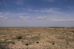 20120711 (43)