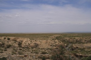 20120711 (55)