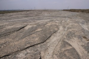 20120711 (63)