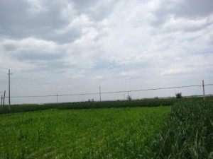 20120711 (71)