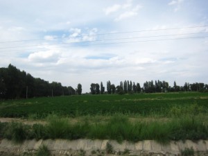 20120711 (89)