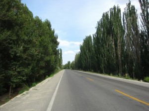 20120711 (90)
