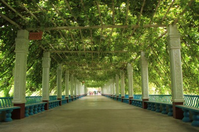 20120725 (204)