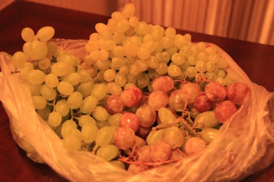 20120725 (249)