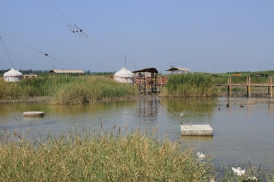 IMG_0642