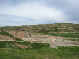 IMG_7557