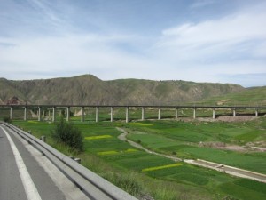 IMG_7562