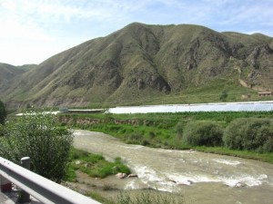 IMG_7598