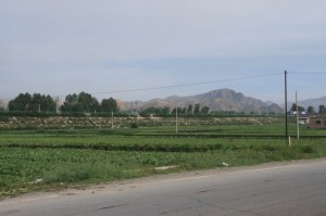 IMG_7721
