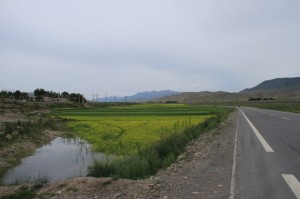 IMG_7738