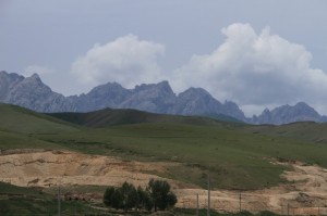 IMG_7742
