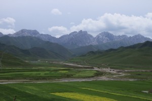 IMG_7750