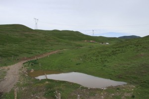 IMG_7754