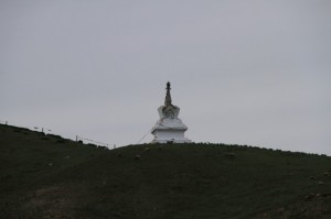 IMG_7756