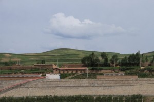 IMG_7768