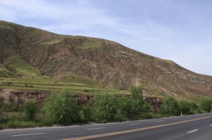 IMG_7771