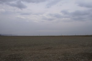 IMG_8072