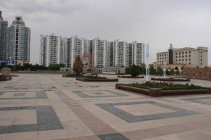 IMG_8142