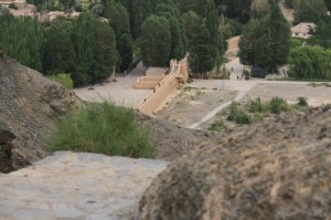 IMG_8298