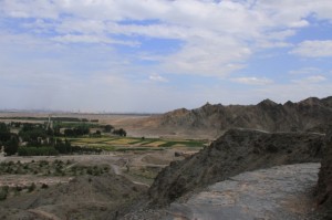 IMG_8305