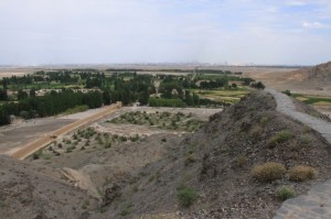 IMG_8309