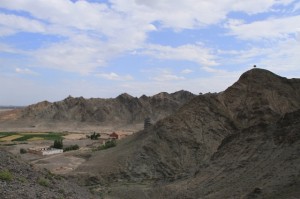 IMG_8310