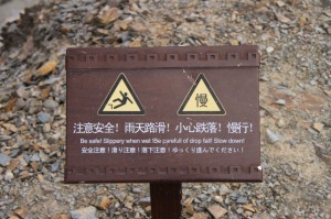 IMG_8320