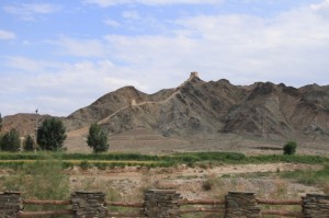 IMG_8346