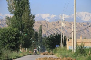 IMG_8369