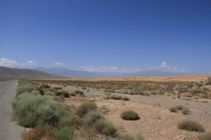 IMG_8404