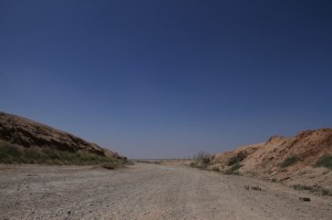 IMG_8493