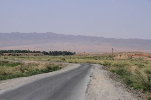 IMG_8507