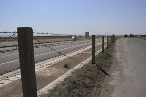 IMG_8508