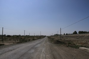 IMG_8509