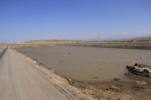 IMG_8529