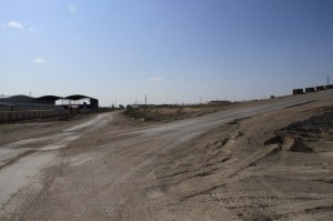IMG_8531