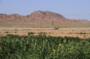 IMG_8534